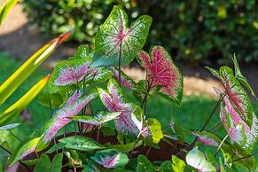 Hotel Las Caletas Lodge