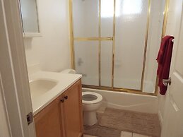 The Vivoli Apartments