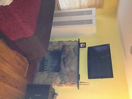 The Vivoli Apartments