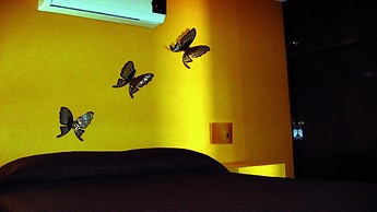 Suites Maria Antonieta