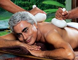 Vedic Village Spa Resort