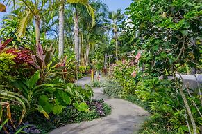 Rarotonga Daydreamer Escape