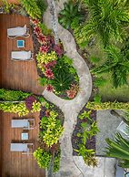 Rarotonga Daydreamer Escape