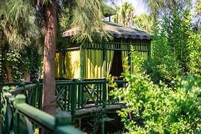 Amelia Beach Resort Hotel & Spa