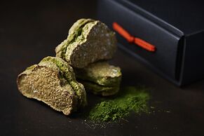 Wakamatsu Hot Spring Resort