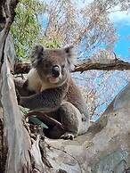 Golden Heritage Accommodation