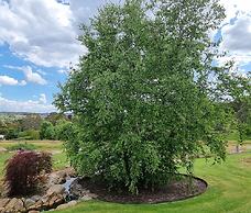 Golden Heritage Accommodation