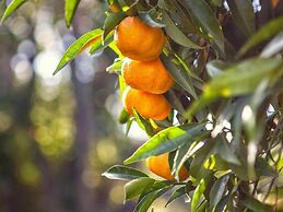 Porta del Tocco Design Rooms