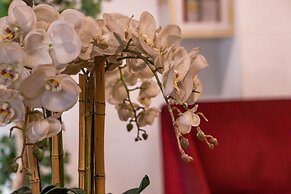 Sofyan Hotel Cut Meutia