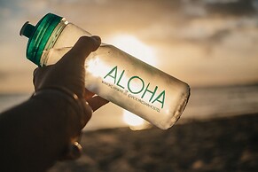 Polynesian Beach Club Hostel