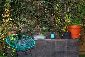 Blue Pepper Chapultepec