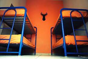 Blue Pepper Chapultepec