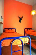 Blue Pepper Chapultepec