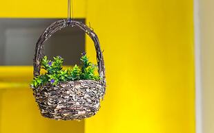 Blue Pepper Chapultepec