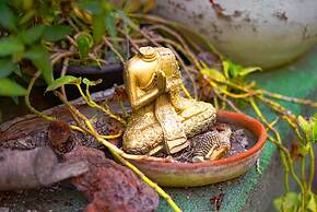 Blue Pepper Chapultepec