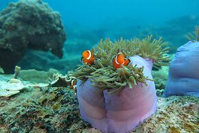 BuBu Long Beach Resort