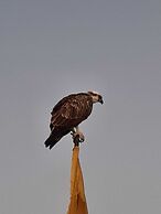 Bliss Nada Beach Resort