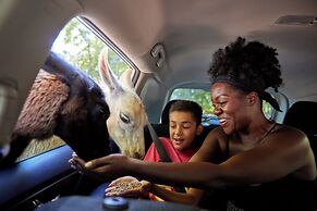 Holiday Inn Express & Suites Charlotte North by IHG