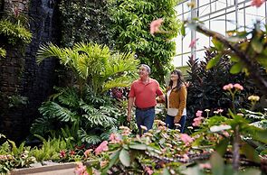 Holiday Inn Express & Suites Charlotte North by IHG