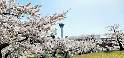 Yunokawa Hot Spring Yunohama Hotel