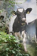 Bicycle Hotel Amsterdam