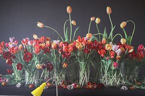 Bicycle Hotel Amsterdam