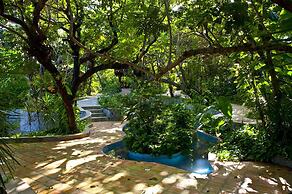 Sombra e Agua Fresca Floresta