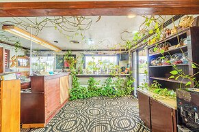 Purple Sage By OYO Snyder TX