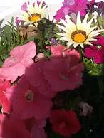 Flokkas Hotel Apartments