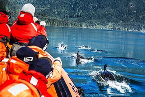 Painter's Lodge, Trademark Collection by Wyndham