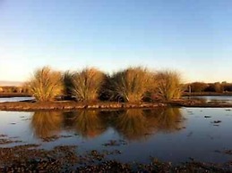 Estancia Río de las Aves
