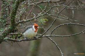Estancia Río de las Aves