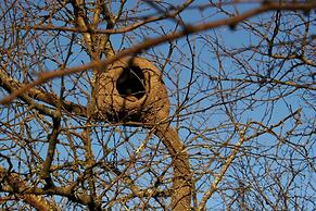 Estancia Río de las Aves