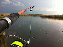 Estancia Río de las Aves