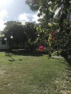 Beach Life Porto de Galinhas