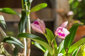 Pousada Ogum Marinho