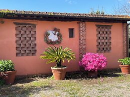 Agriturismo Podere Marchiano