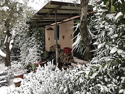 Agriturismo Podere Marchiano