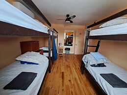 Auberge Jeunesse LouLou's Backpacker Hostel