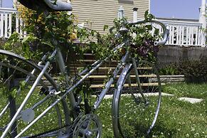 Auberge Jeunesse LouLou's Backpacker Hostel