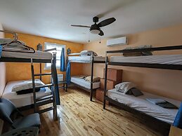 Auberge Jeunesse LouLou's Backpacker Hostel