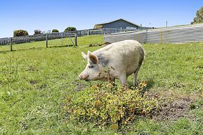Anchors Port Campbell