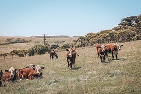 Anchors Port Campbell