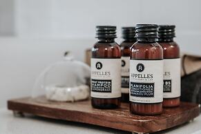 Anchors Port Campbell