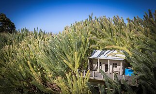 Anchors Port Campbell
