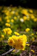 LP Los Portales Hotel Tarma