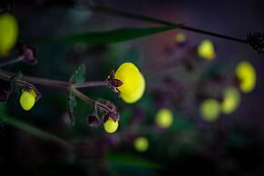 LP Los Portales Hotel Tarma