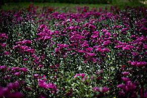 LP Los Portales Hotel Tarma