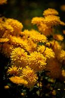 LP Los Portales Hotel Tarma