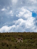 LP Los Portales Hotel Tarma